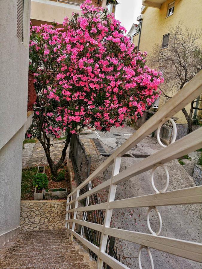 Vojinovic Apartments บุดวา ภายนอก รูปภาพ